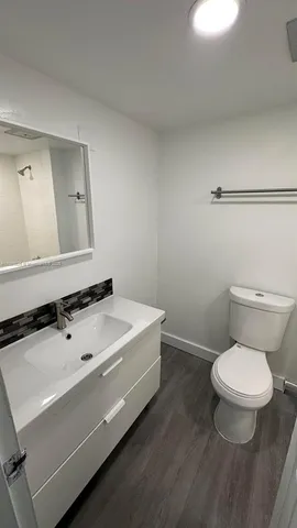 a bathroom with a sink a toilet and mirror