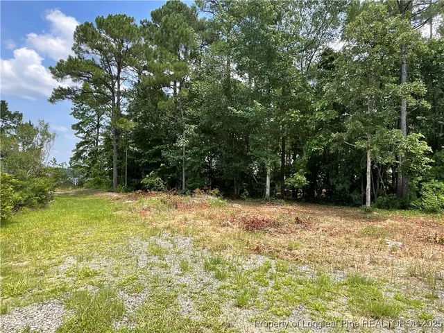 a view of a yard with trees