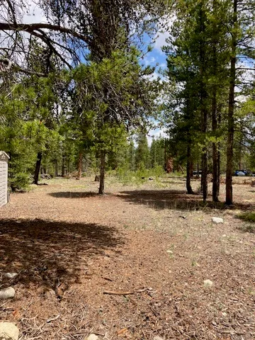 a view of outdoor space with trees