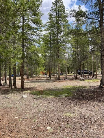 a view of road with trees
