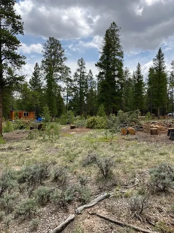 a view of outdoor space with trees all around