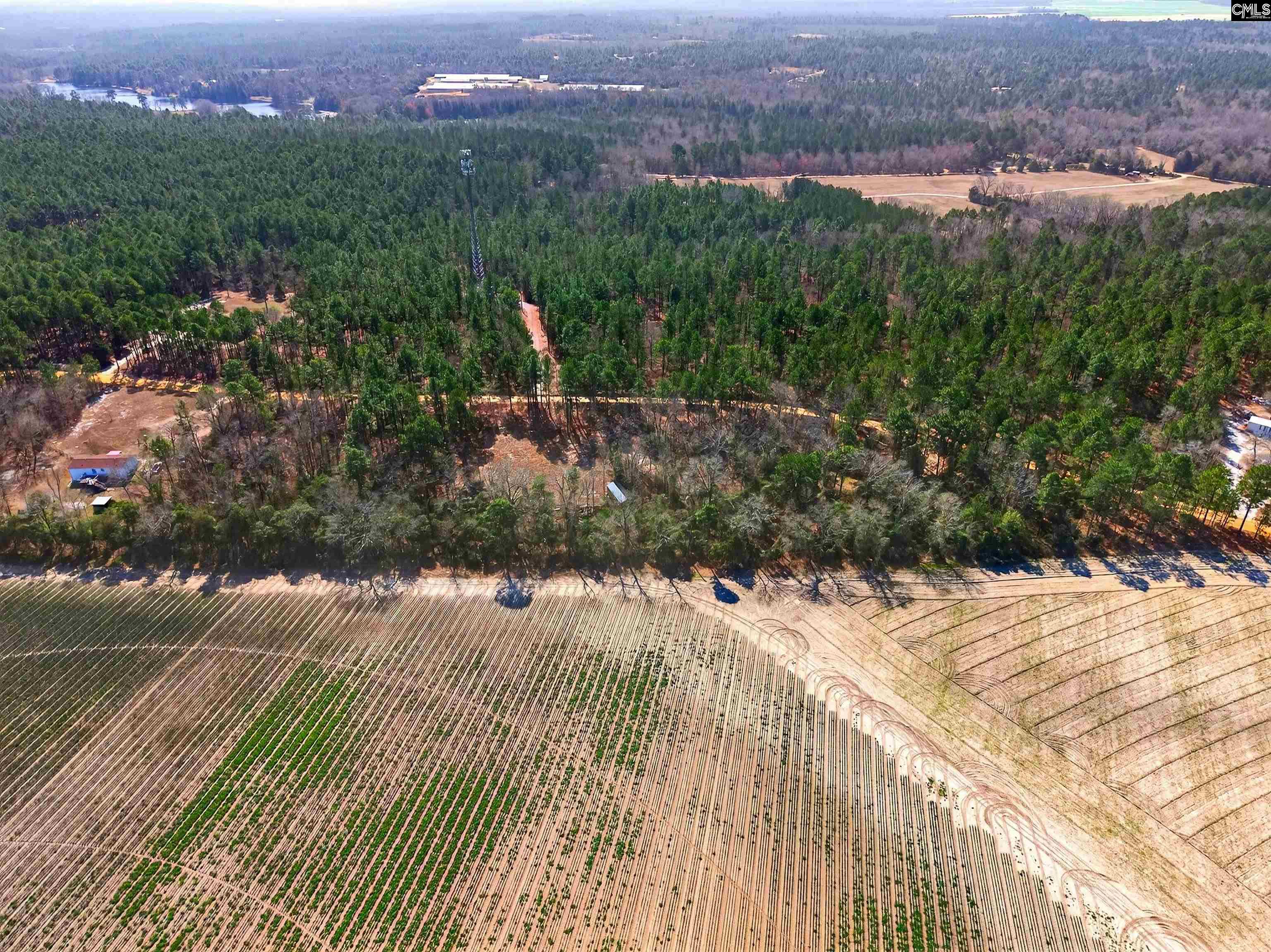 0 Rimrock Road Leesville, SC 29070 - Photo 8 of 11