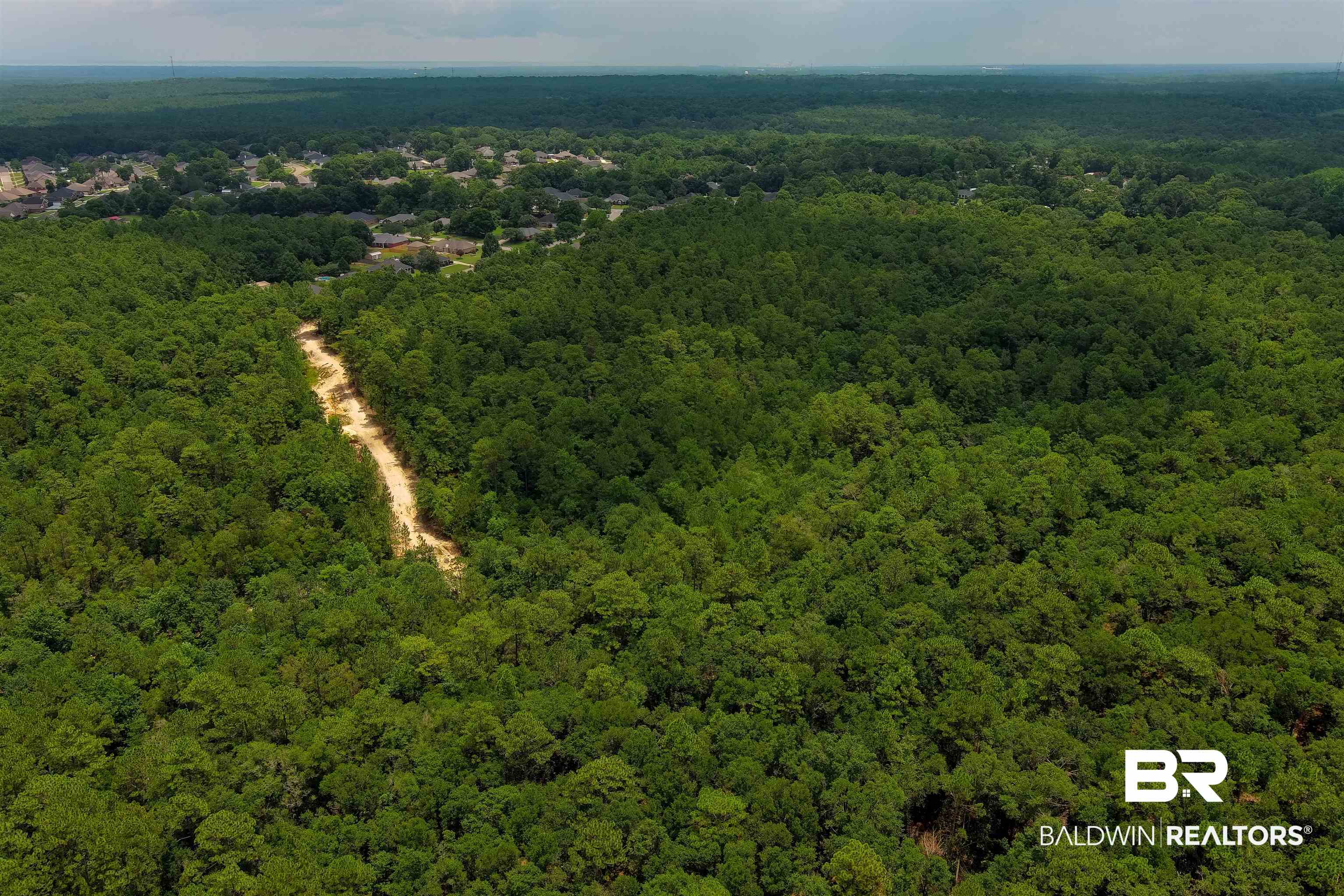 0 Schillinger Road Mobile, AL 36619 - Photo 6 of 25