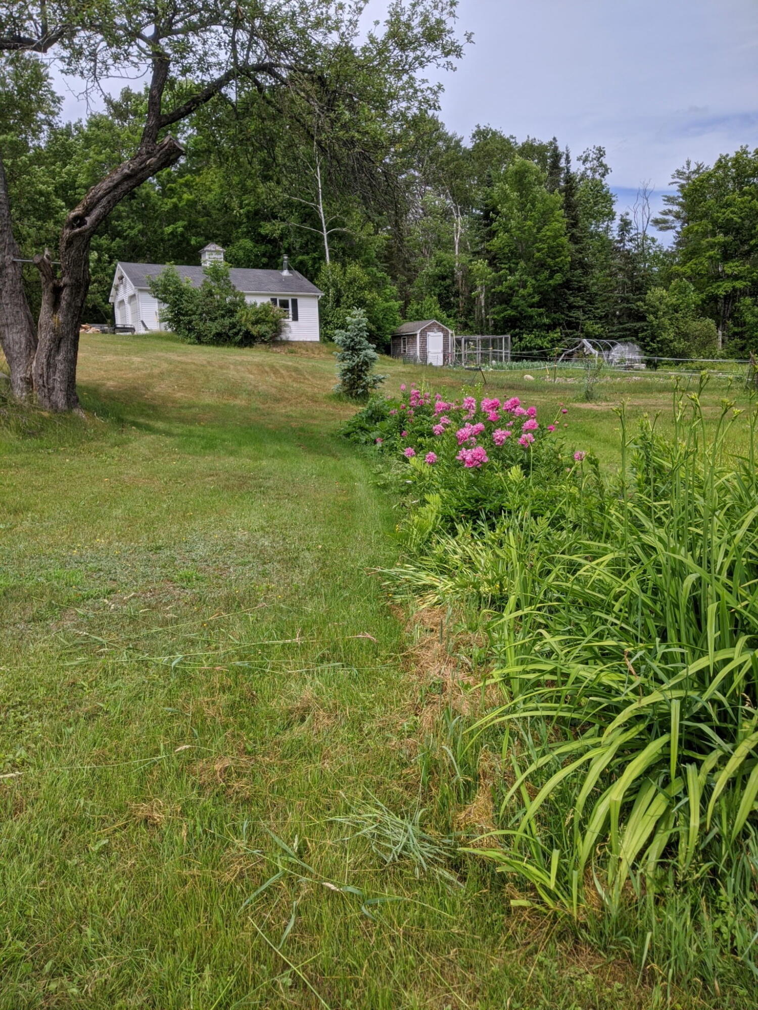 455 Village Road Jackson, ME 04921 - Photo 53 of 59 1977757815674416005