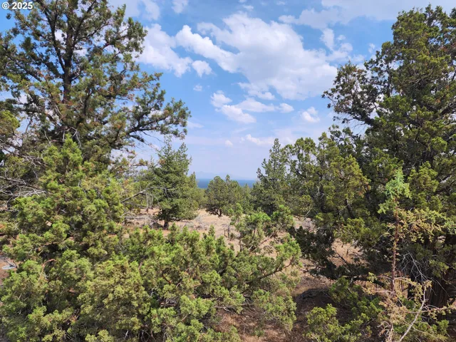a view of a city with lush green forest