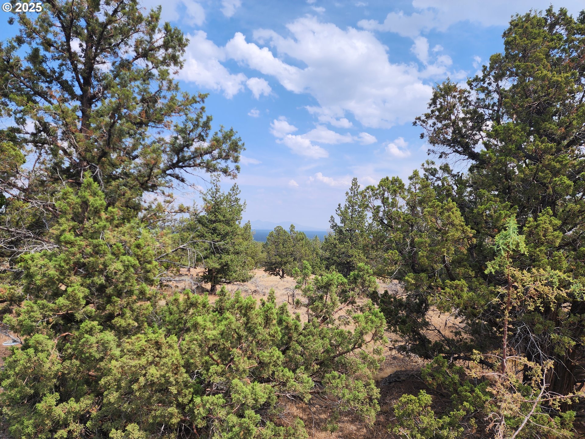 65432 78th Street Bend, OR 97703 - Photo 4 of 19