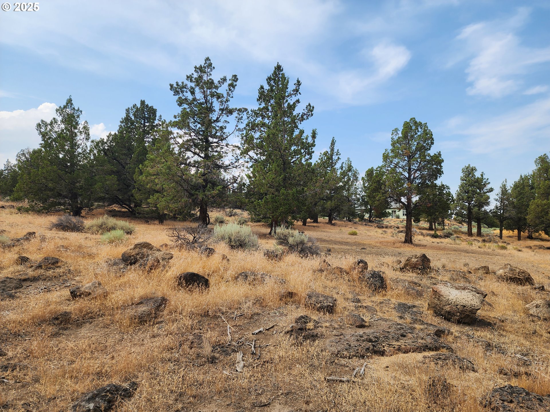 65432 78th Street Bend, OR 97703 - Photo 8 of 19