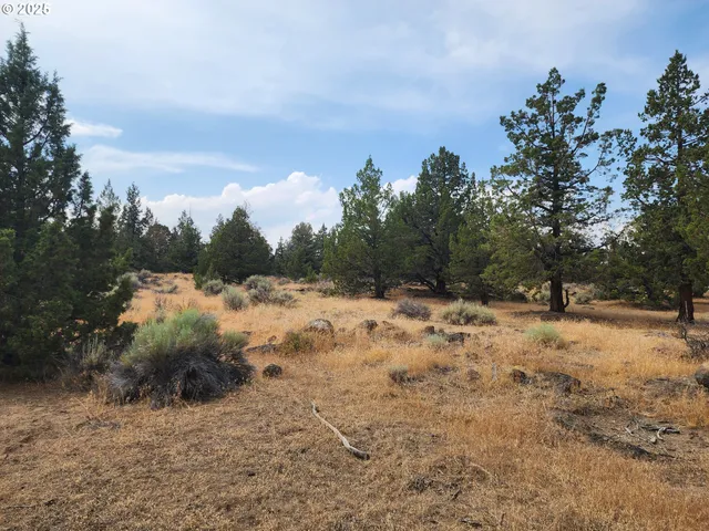 a view of a covered with trees in the background