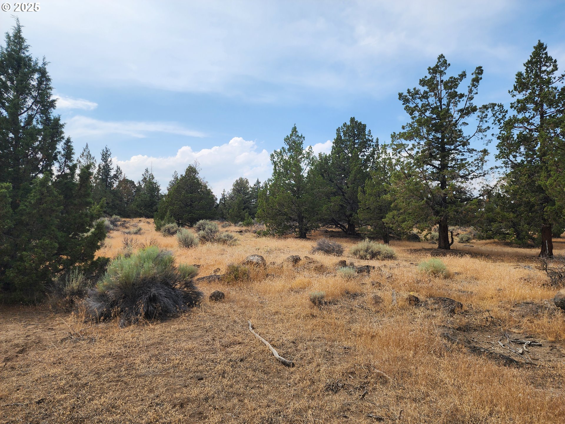 65432 78th Street Bend, OR 97703 - Photo 9 of 19