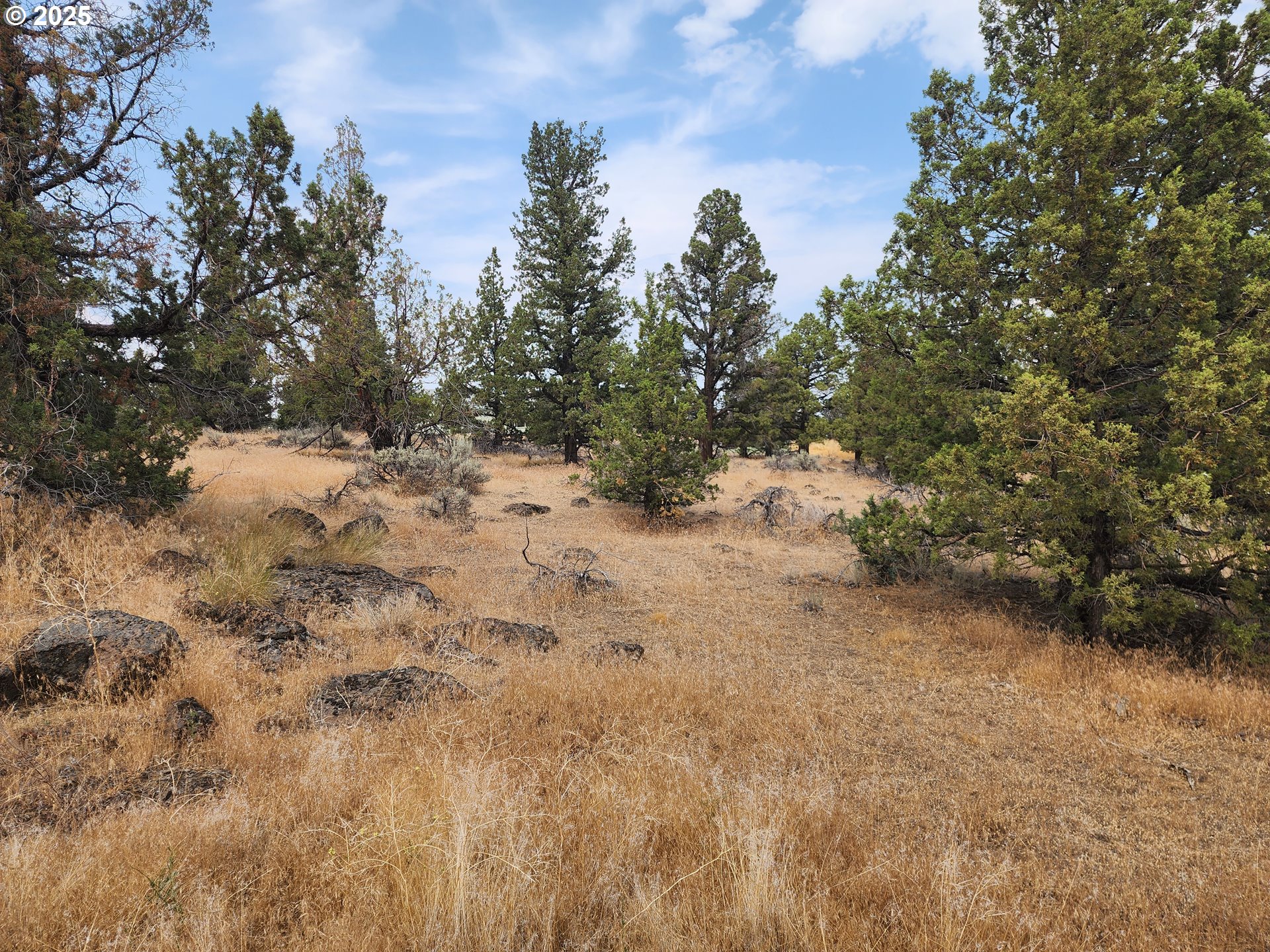 65432 78th Street Bend, OR 97703 - Photo 10 of 19