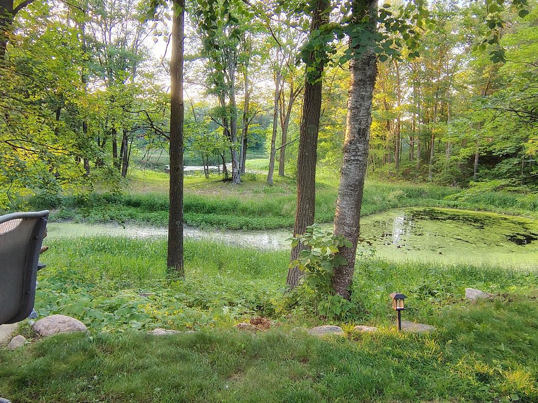 7072 Buck Horn Pass Randall, MN 56475 - Photo 19 of 69