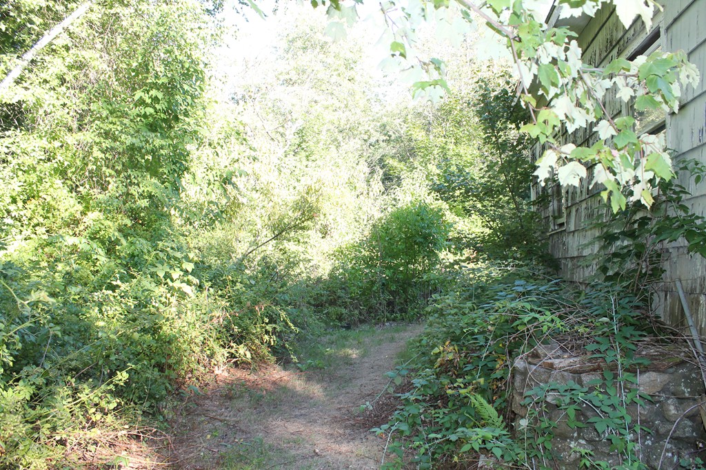 125 Maple Street Carlisle, MA 01741 - Photo 16 of 16