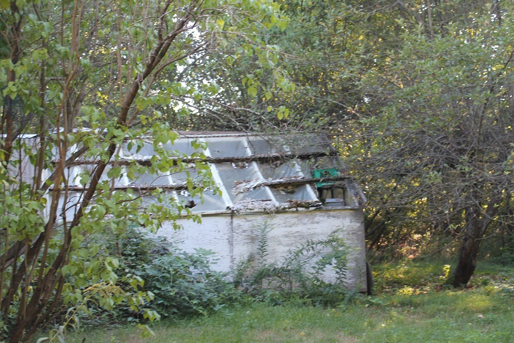 125 Maple Street Carlisle, MA 01741 - Photo 7 of 16