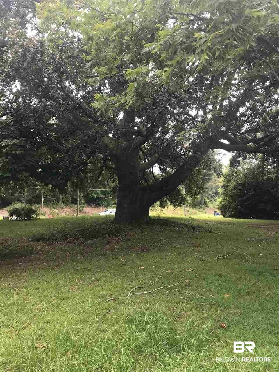 25689 Highway 98 Elberta, AL 36530 - Photo 15 of 16