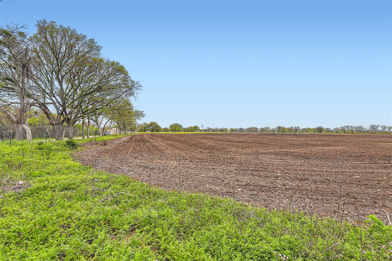 602 Northwest River Road Martindale, TX 78655 - Photo 4 of 7 View of yard featuring a view of countryside