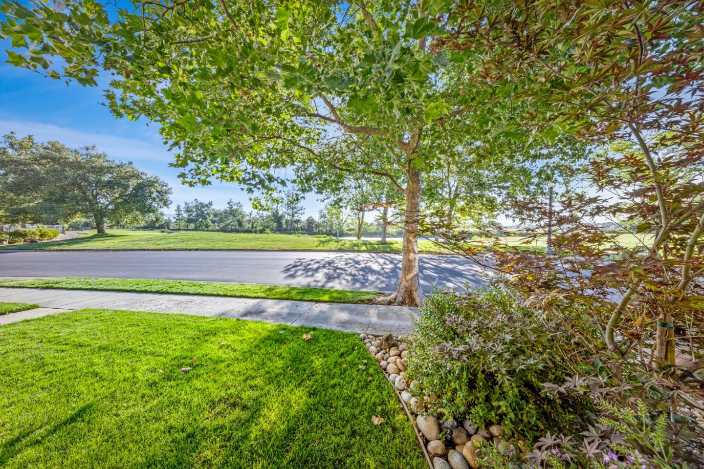 1937 St Andrews Circle Gilroy, CA 95020 - Photo 5 of 64 a view of a yard with a tree