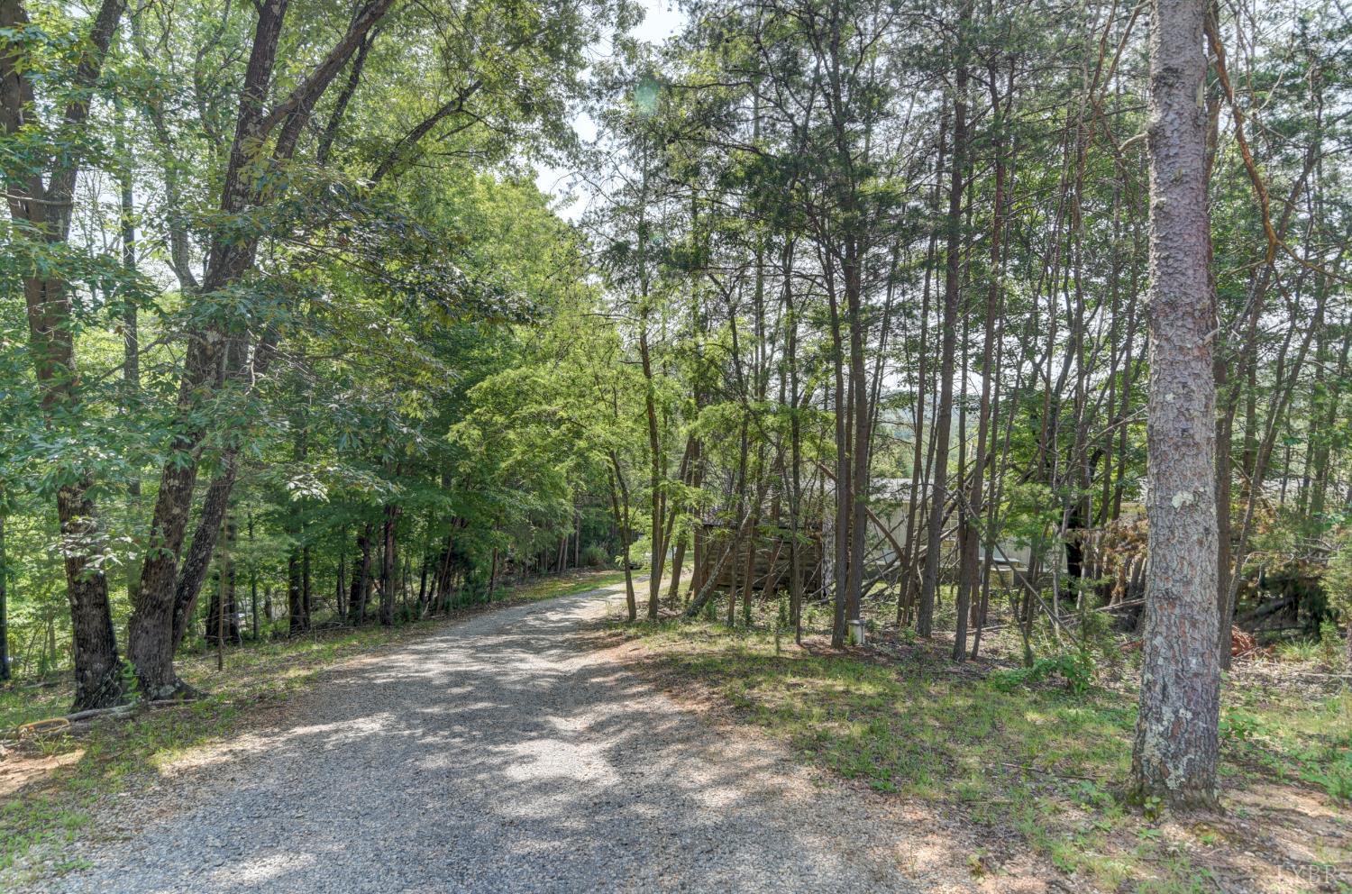 3122 Buffalo Run Thaxton, VA 24174 - Photo 33 of 47 a view of outdoor space and green space