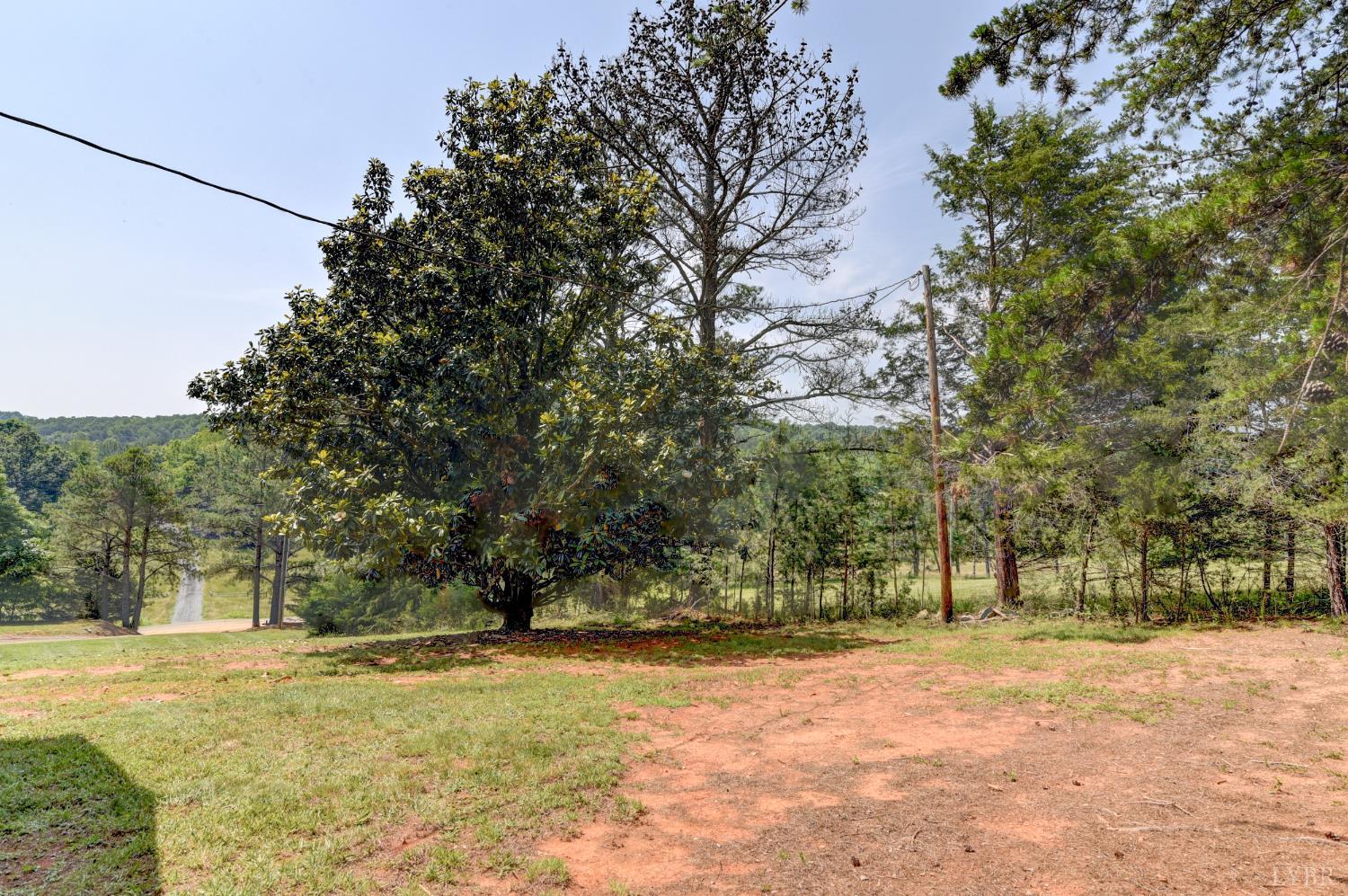 3122 Buffalo Run Thaxton, VA 24174 - Photo 39 of 47