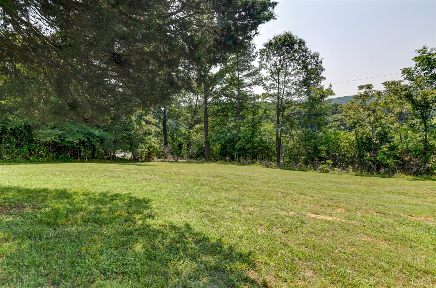 3122 Buffalo Run Thaxton, VA 24174 - Photo 44 of 47