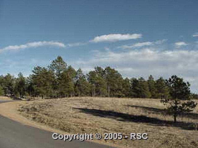 11507 Shaugnessy Road Colorado Springs, CO 80908 - Photo 3 of 4 Gallery Image 3