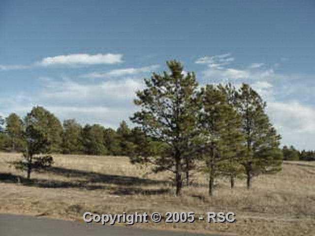 11507 Shaugnessy Road Colorado Springs, CO 80908 - Photo 4 of 4 Gallery Image 4