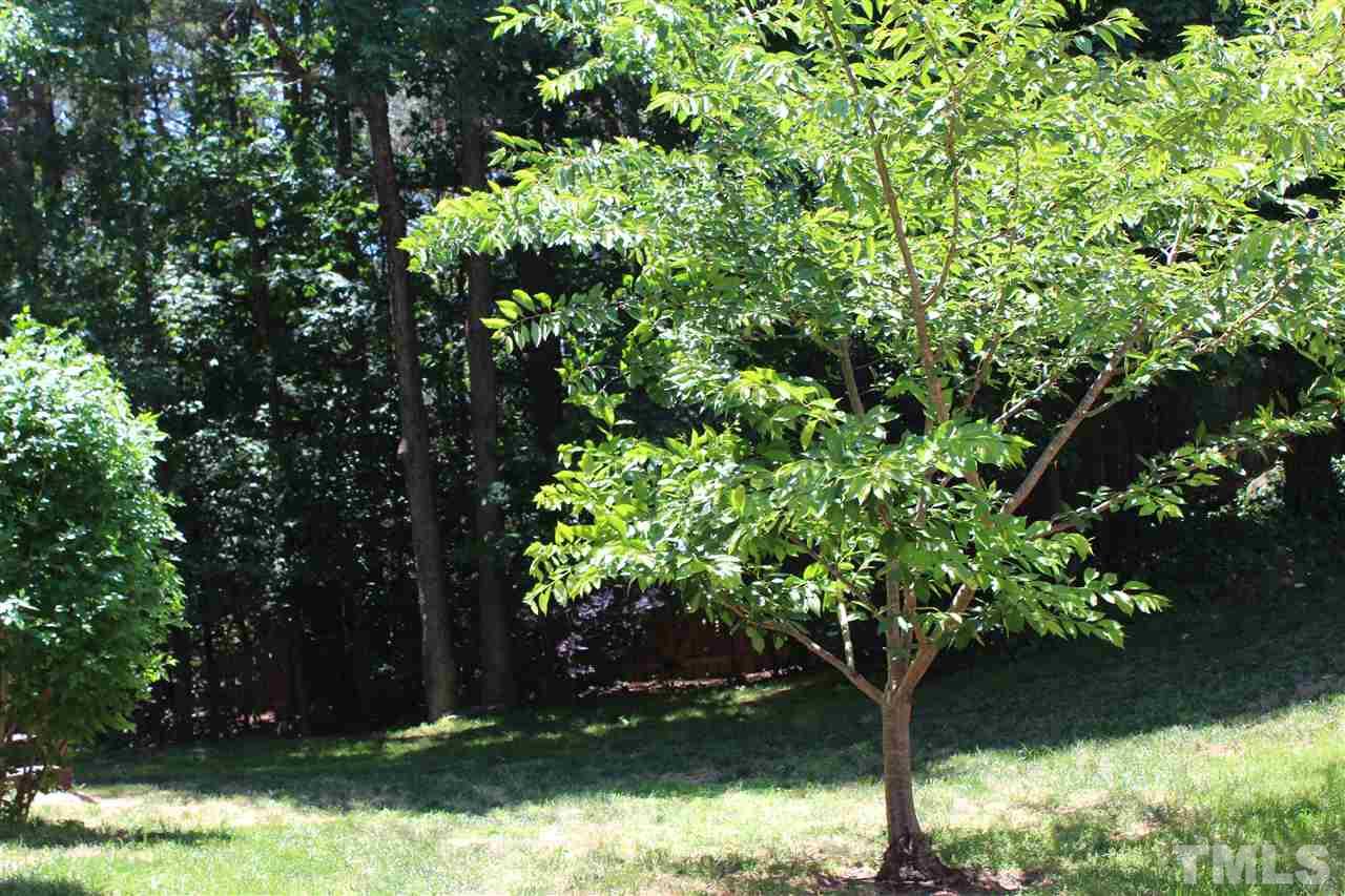 3237 Neuse Crossing Drive Raleigh, NC 27616 - Photo 22 of 25 Gallery Image 22