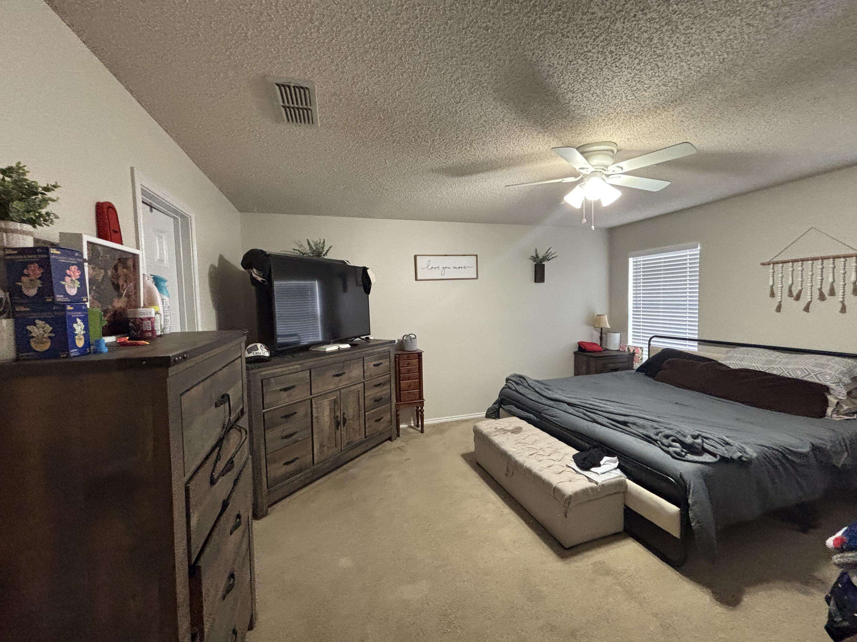 2914 88th Street Lubbock, TX 79423 - Photo 22 of 23 IMG_0926