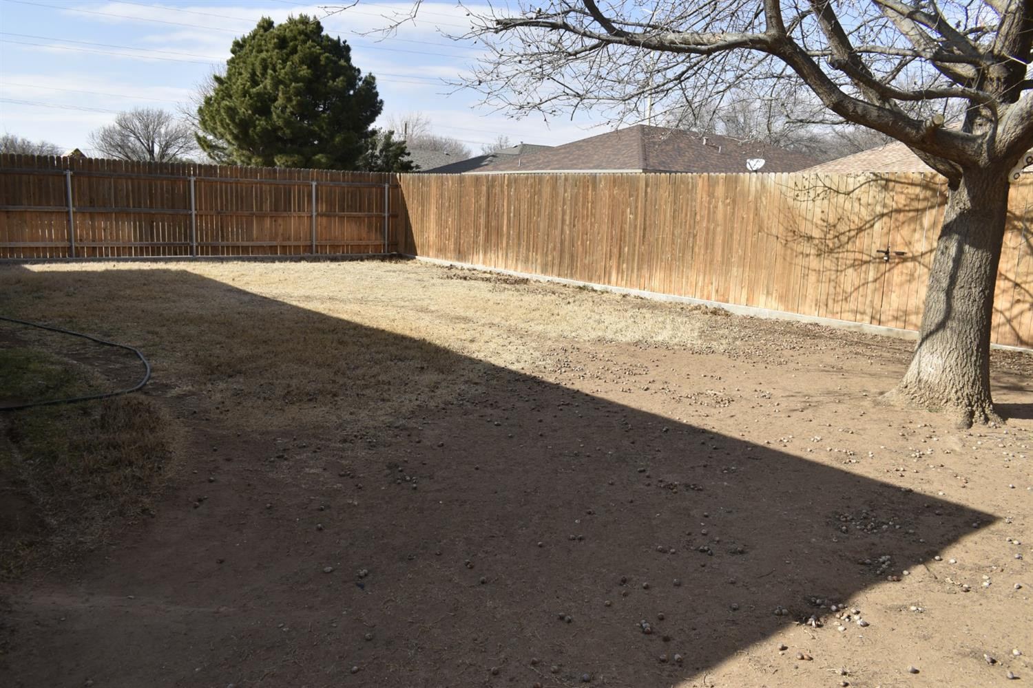 2914 88th Street Lubbock, TX 79423 - Photo 5 of 20 yard