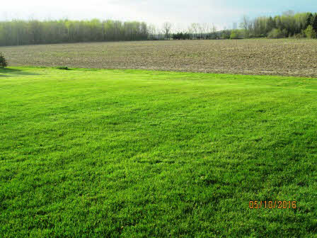 300 West Linwood Road Linwood, MI 48634 - Photo 22 of 22 Gallery Image 22