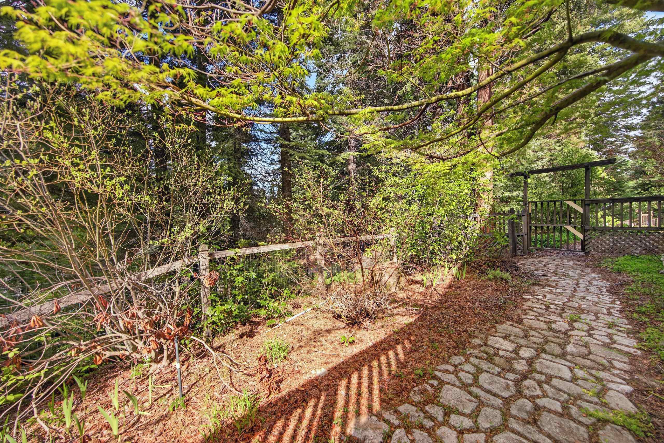 1220 Lynx Road Lake Almanor, CA 96137 - Photo 43 of 45 a view of a yard with plants and wooden fence