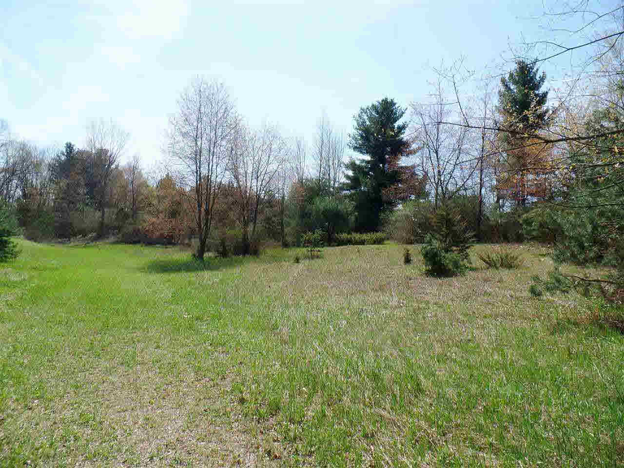 Sweezy Lake Road, Unit V/L Brooklyn, MI 49230 - Photo 11 of 21 Gallery Image 11