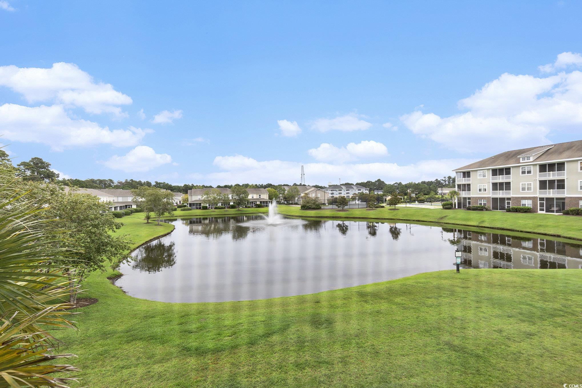 304 Kiskadee Loop, Unit 3E Conway, SC 29526 - Photo 28 of 40