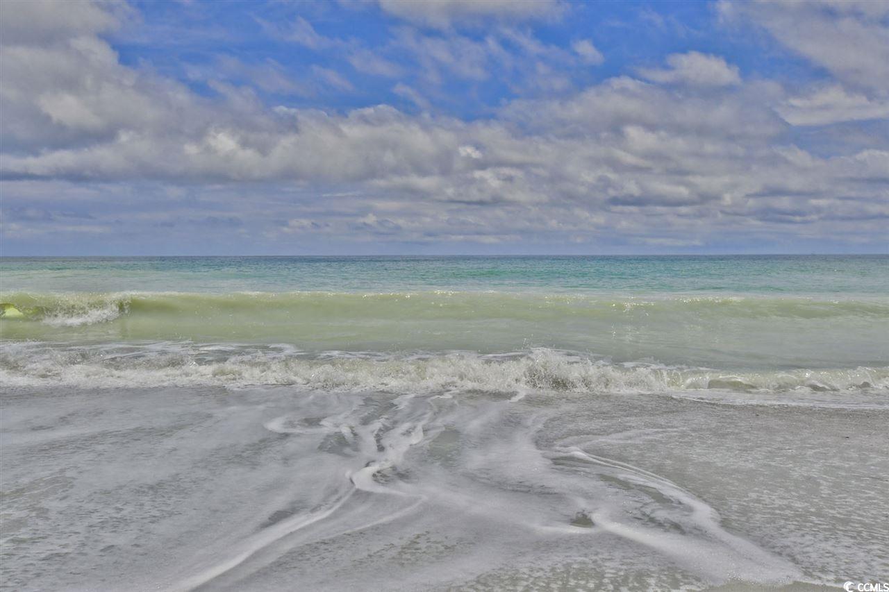 304 Kiskadee Loop, Unit 3E Conway, SC 29526 - Photo 39 of 40