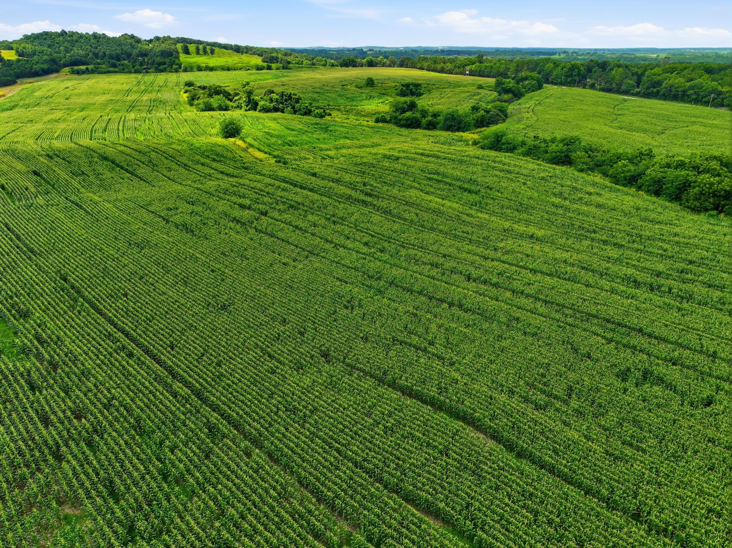0 Gravel Point Road, Unit 2 Mountain Grove, MO 65711 - Photo 1 of 30 dji_0101