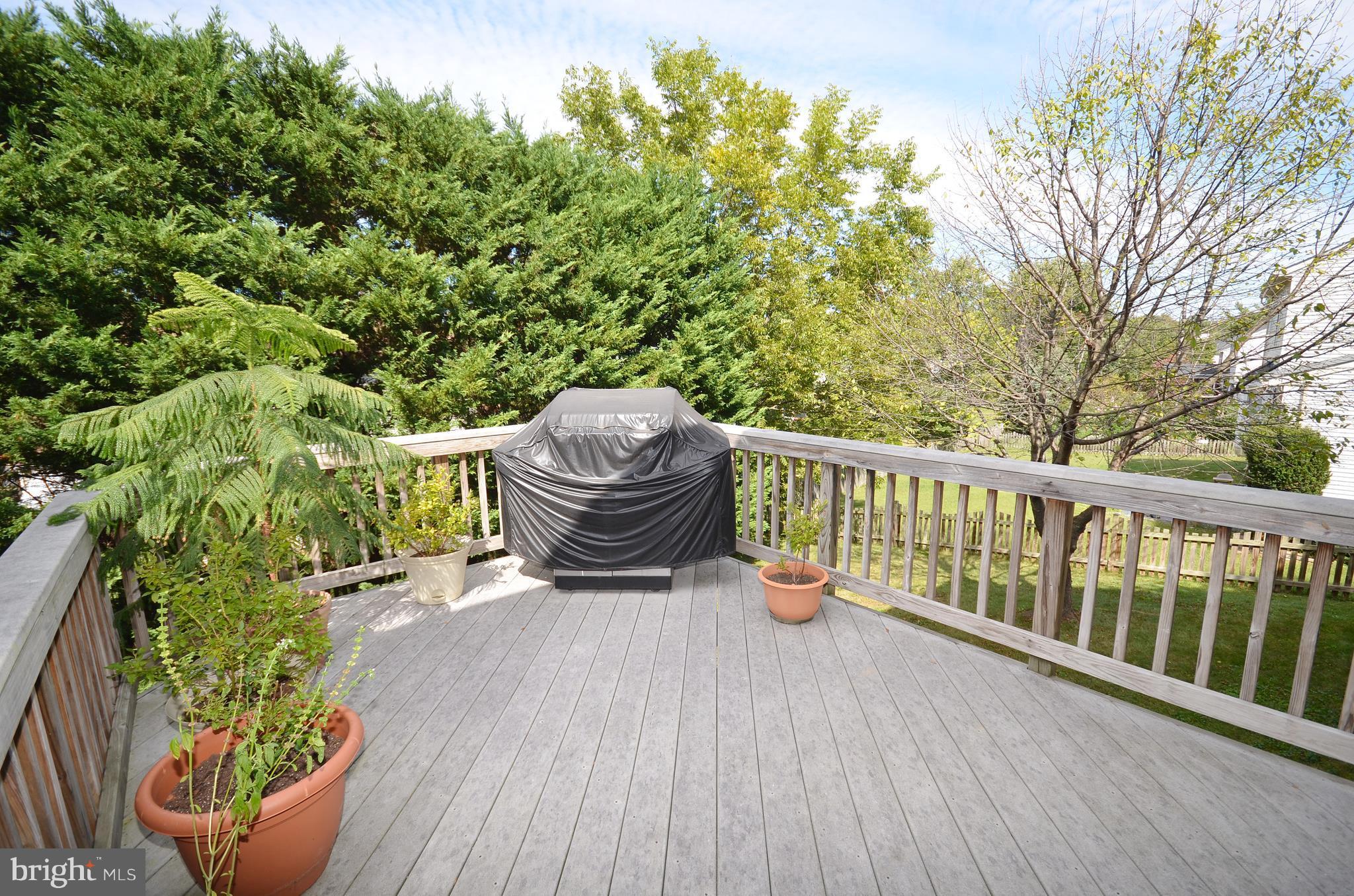1917 East Beech Road Sterling, VA 20164 - Photo 16 of 20 Deck