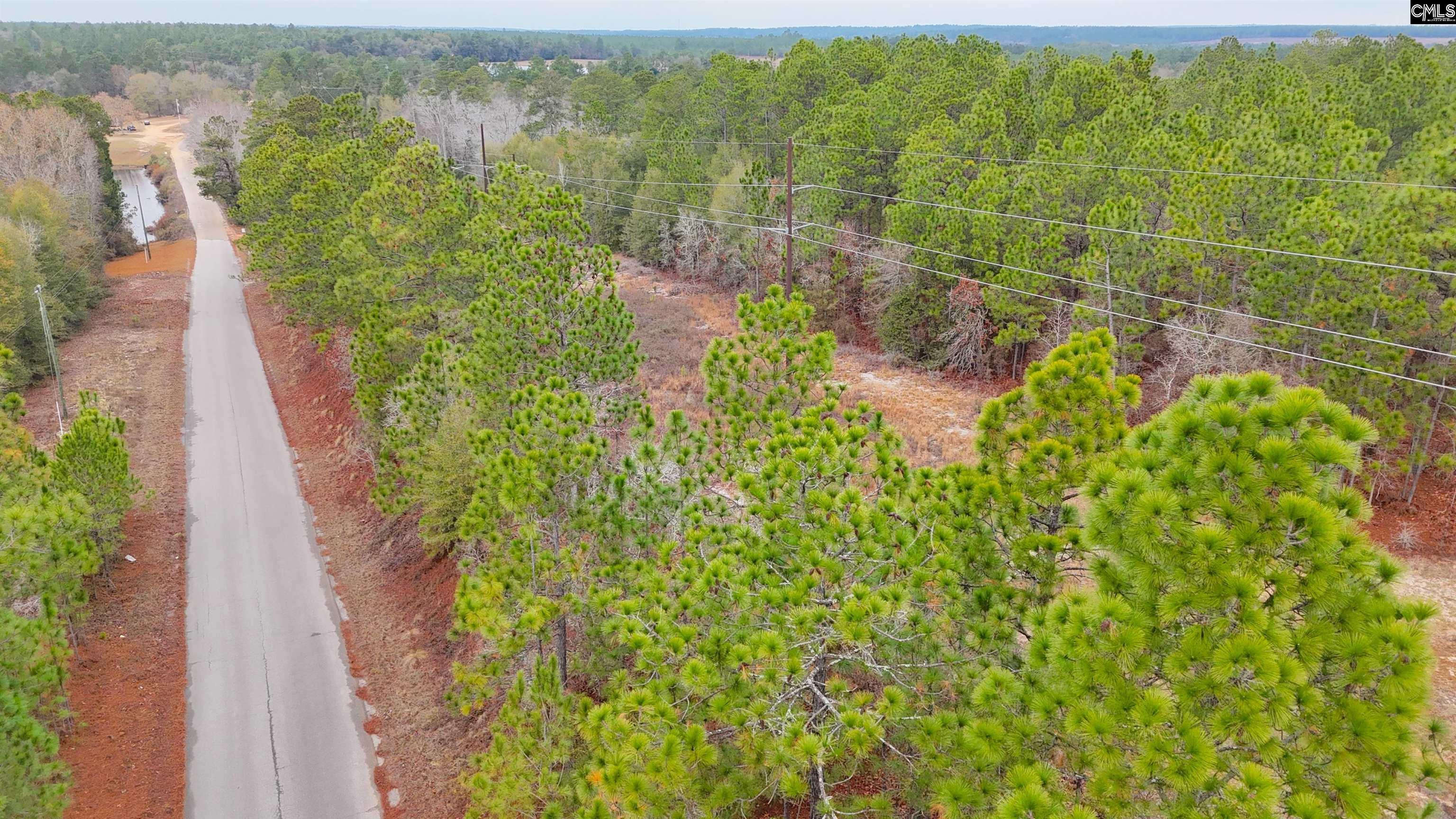 0 Browns Pond Road Salley, SC 29137 - Photo 4 of 4