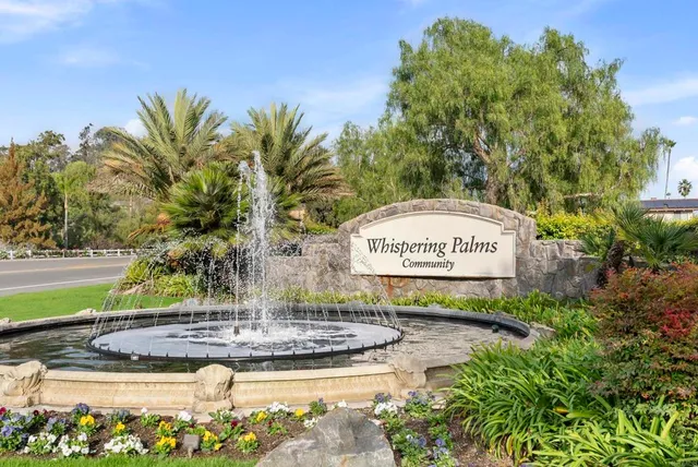 a view of a water fountain with palm trees