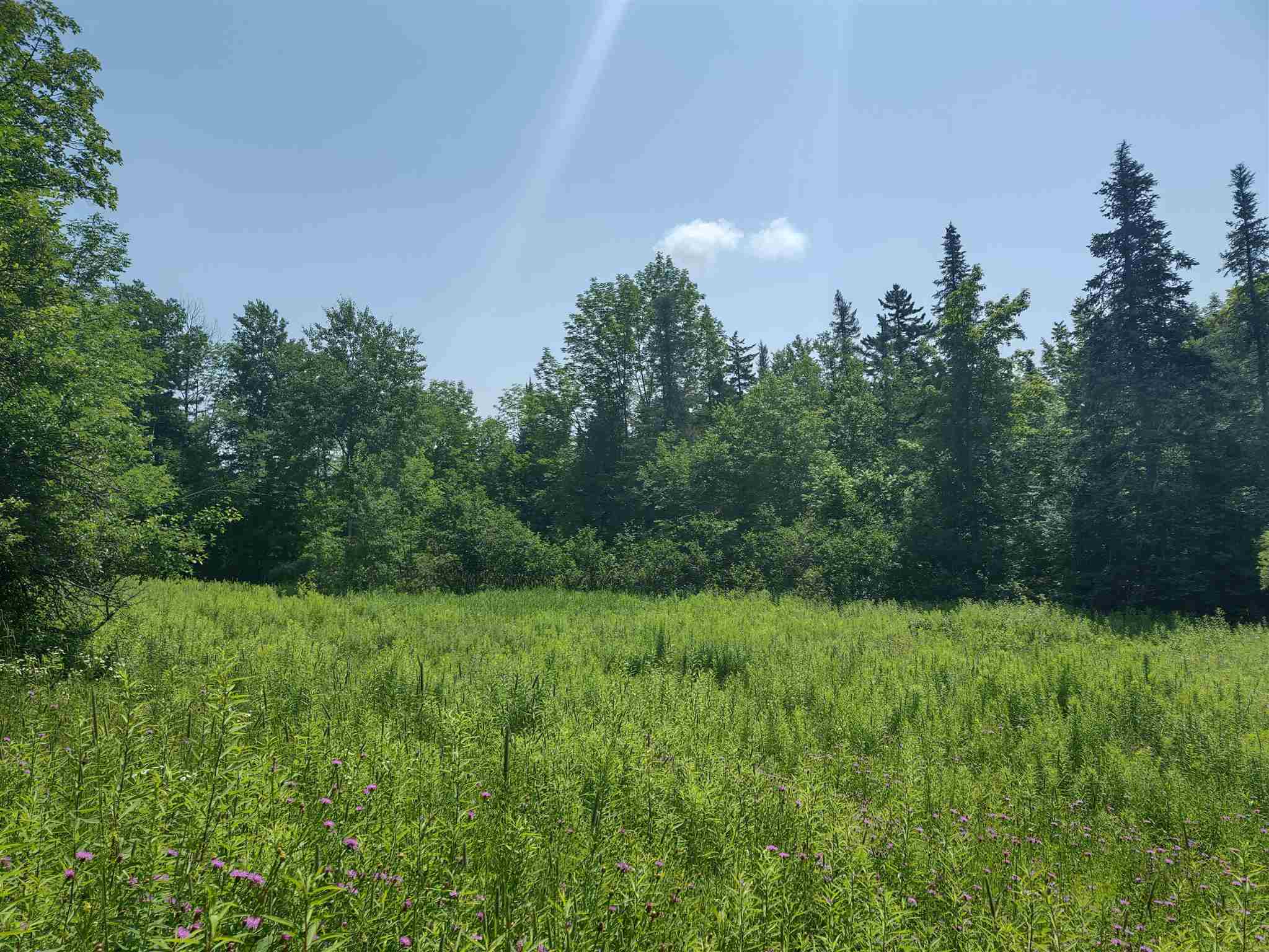 0 Northfield Road Brookfield, VT 05036 - Photo 1 of 17