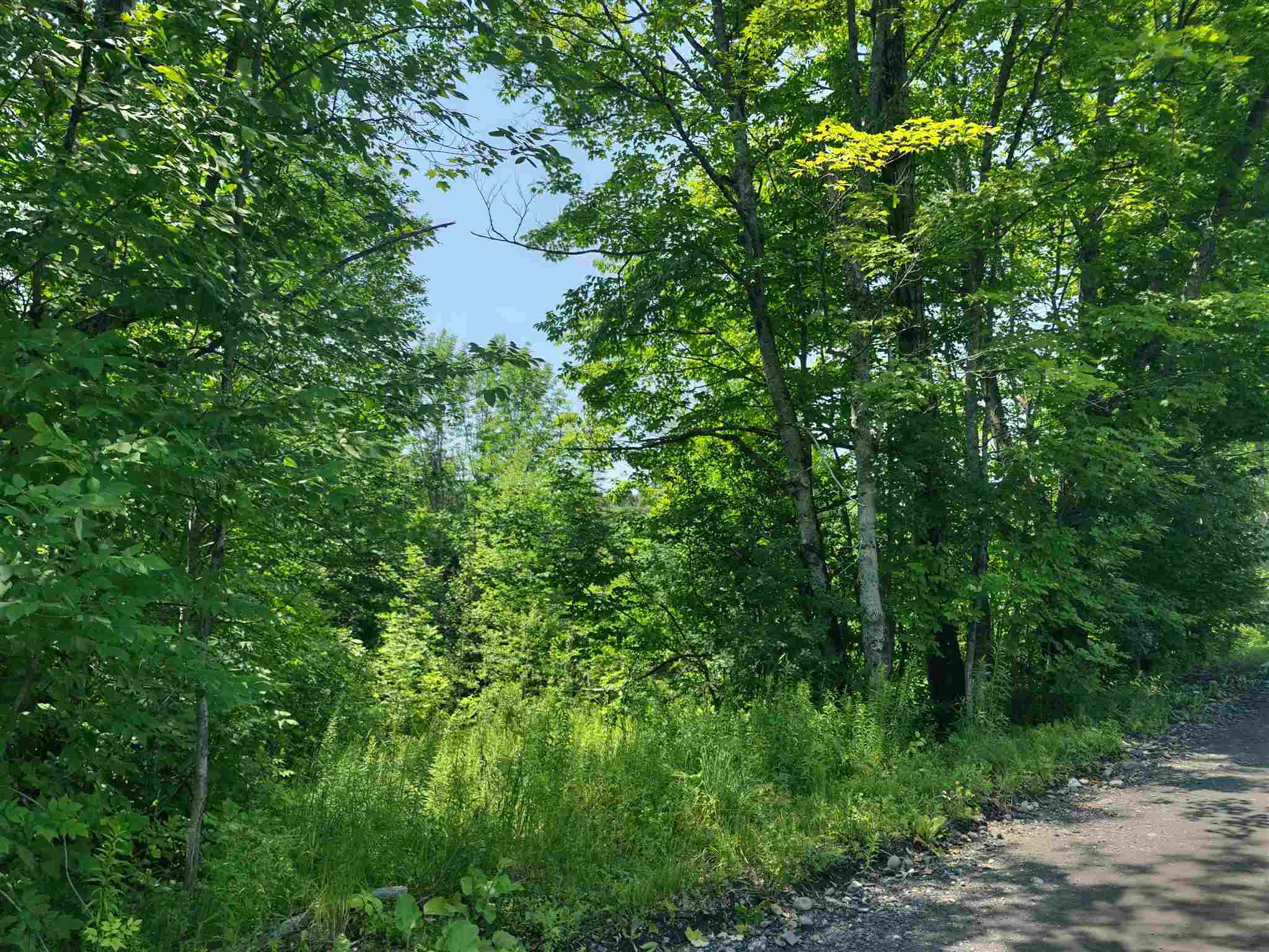 0 Northfield Road Brookfield, VT 05036 - Photo 2 of 17