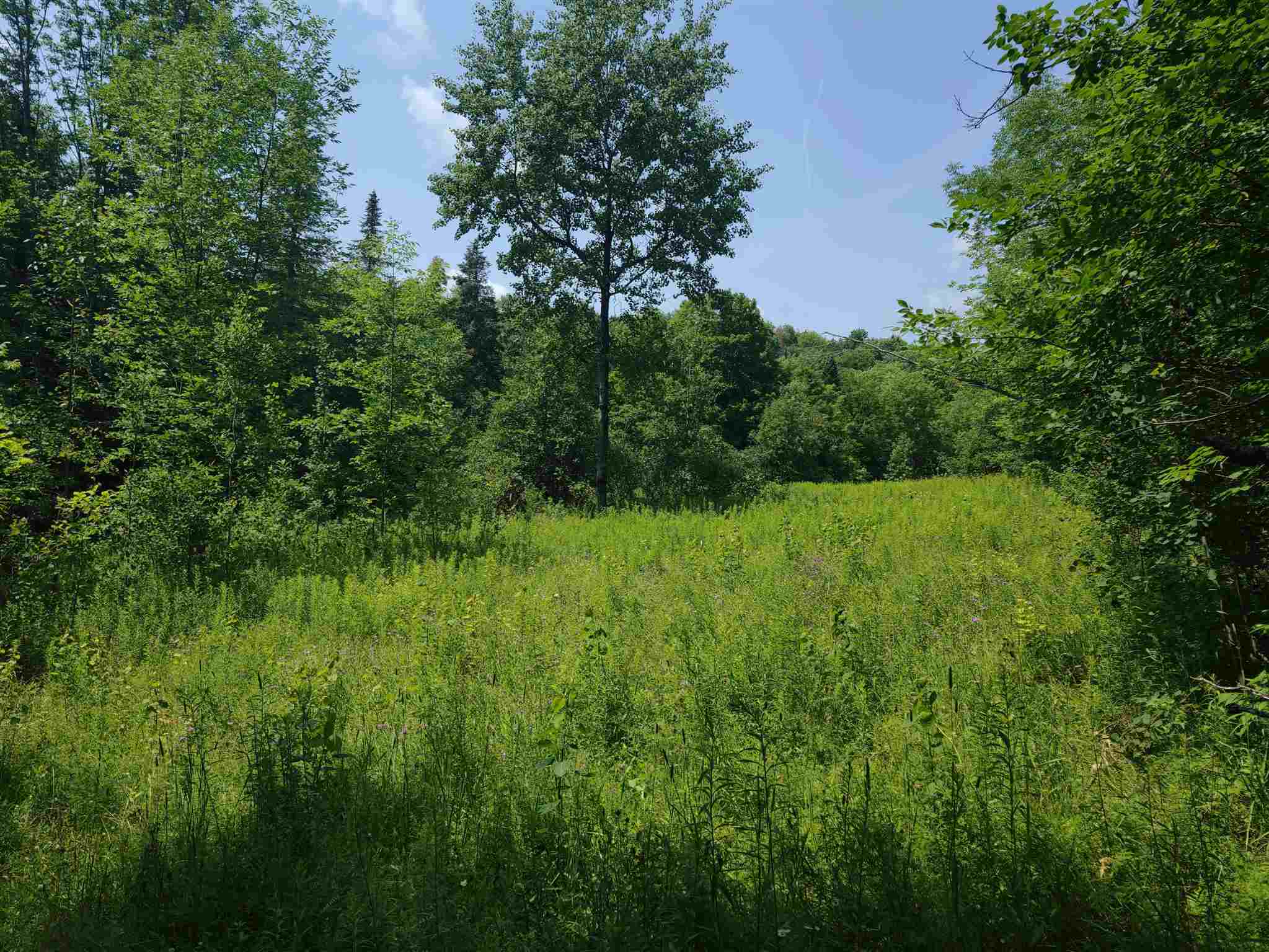 0 Northfield Road Brookfield, VT 05036 - Photo 3 of 17