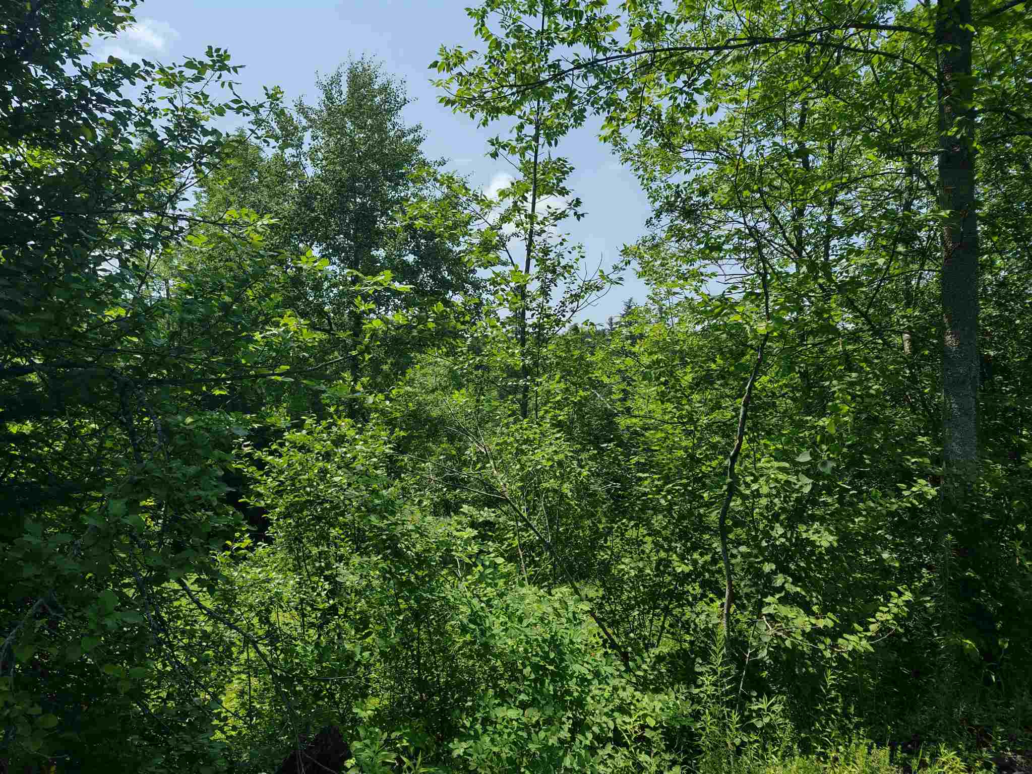 0 Northfield Road Brookfield, VT 05036 - Photo 4 of 17