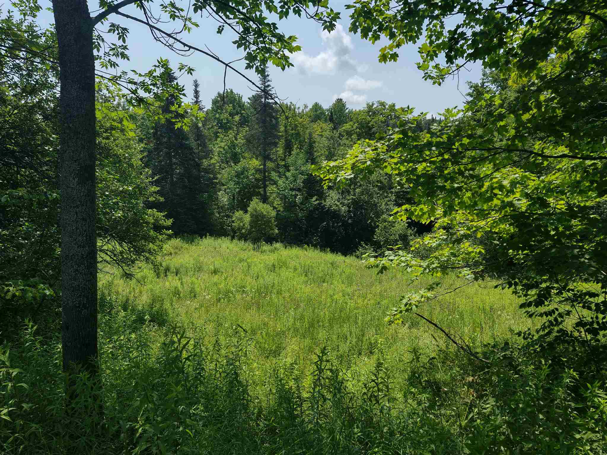 0 Northfield Road Brookfield, VT 05036 - Photo 5 of 17