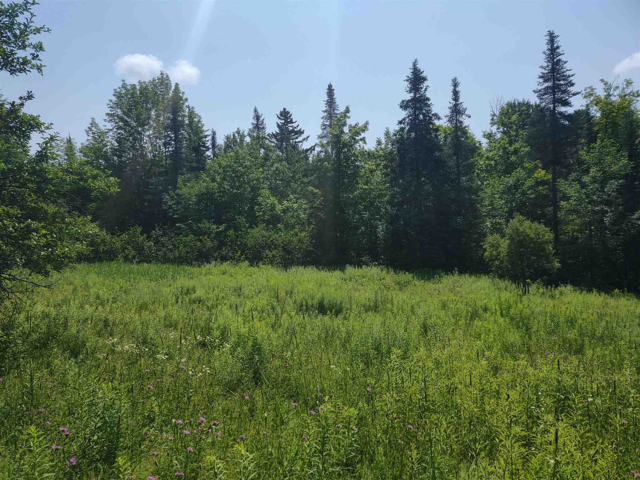 0 Northfield Road Brookfield, VT 05036 - Photo 6 of 17