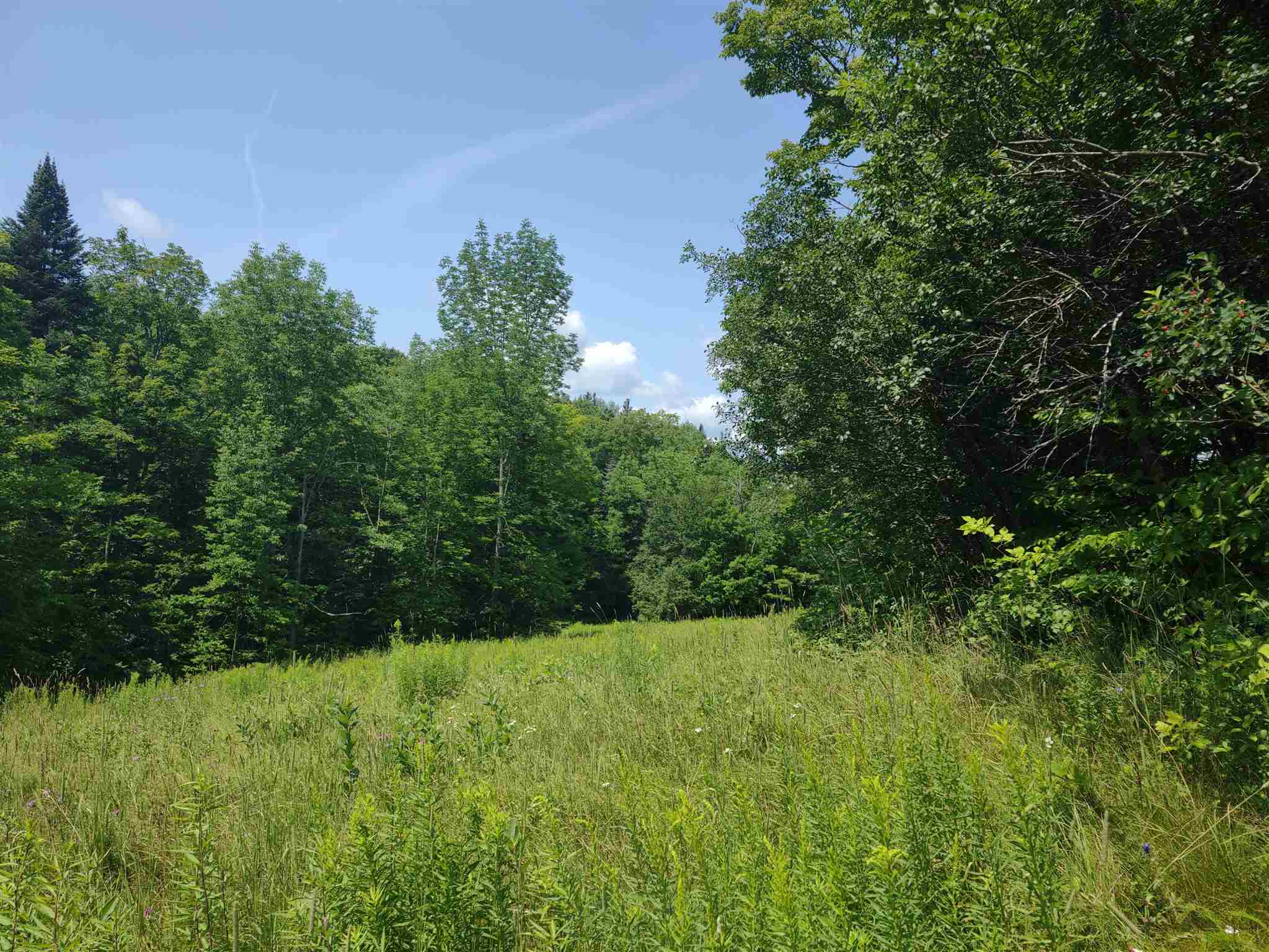 0 Northfield Road Brookfield, VT 05036 - Photo 8 of 17
