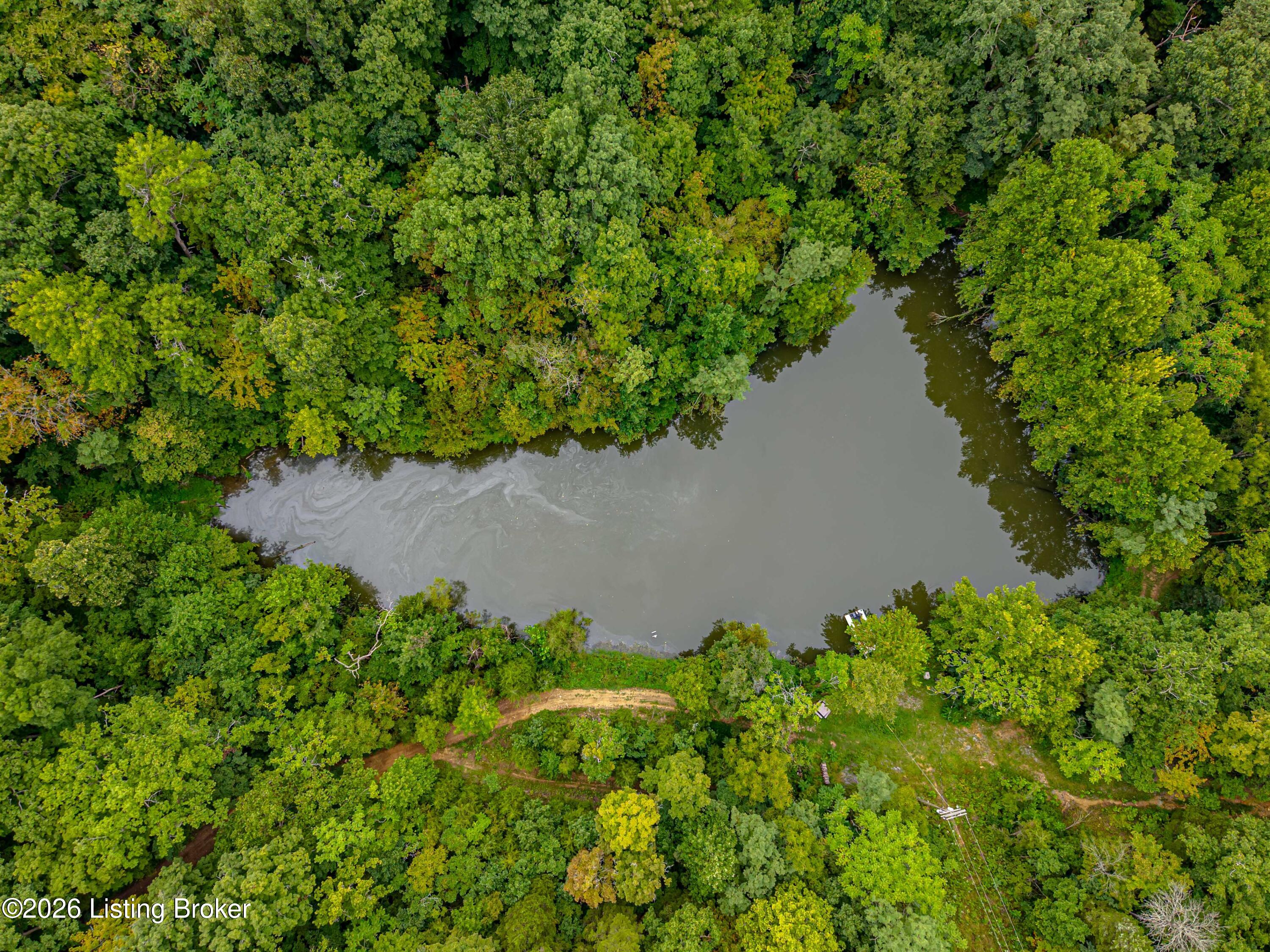 295 Bray Ridge Road Bedford, KY 40006 - Photo 15 of 72 Aerial Lake Close