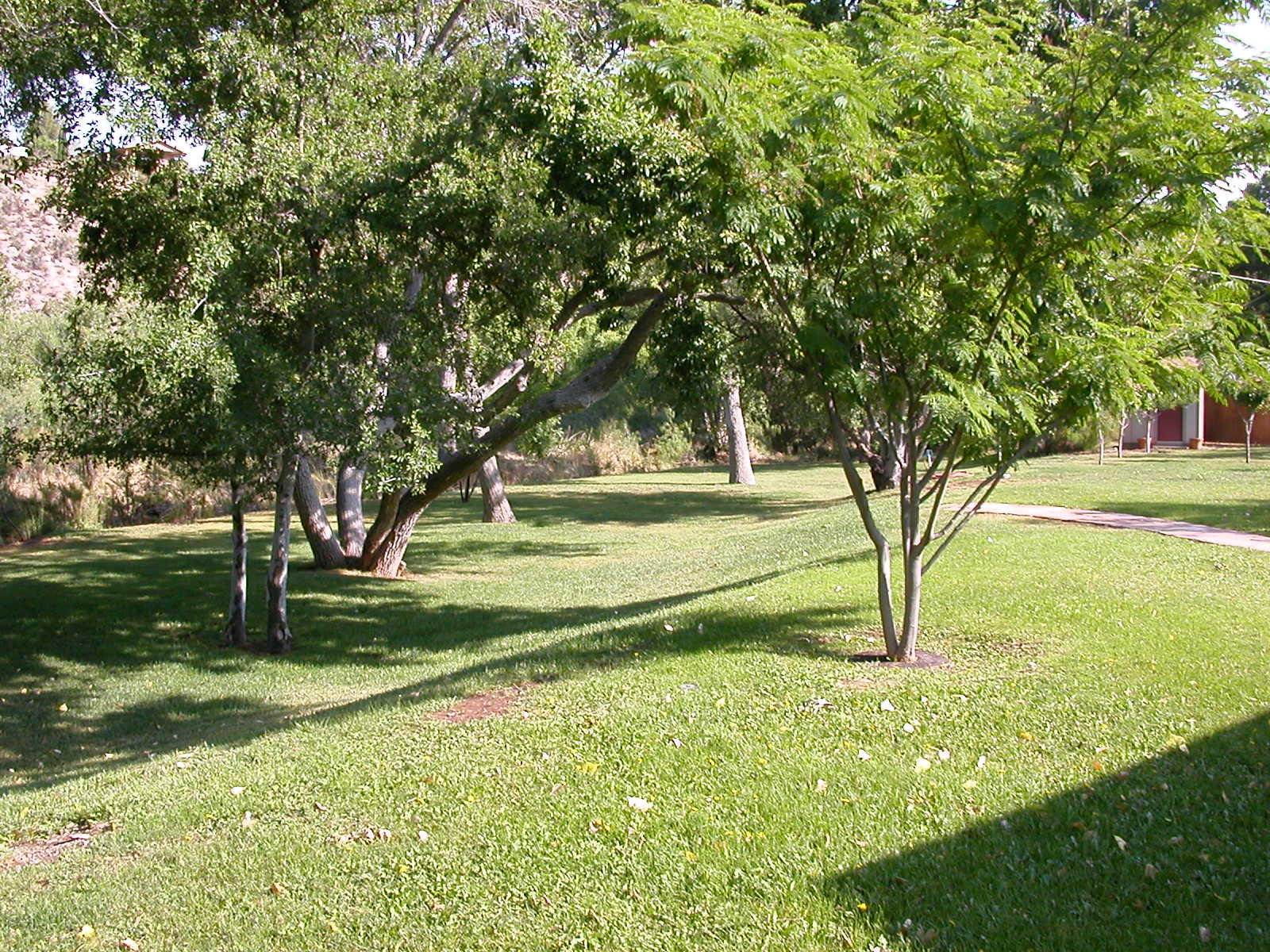 3800 East Sycamore Lane Rimrock, AZ 86335 - Photo 31 of 40 Numerous trees plus small orchard!