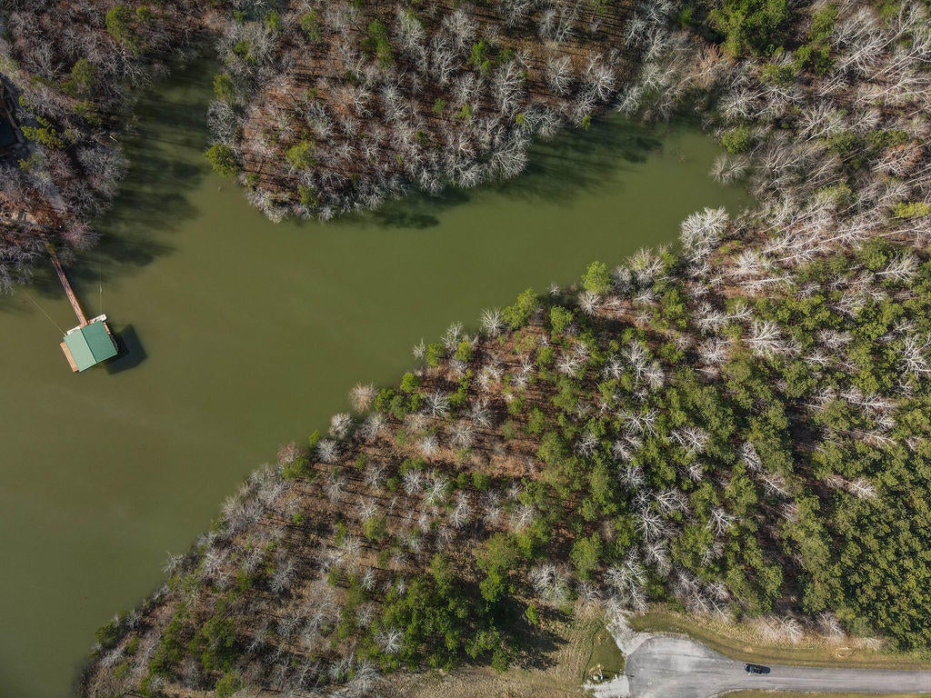 Lot#89 Stoney Point Road North Double Springs, AL 35553 - Photo 27 of 32 Gallery Image 27