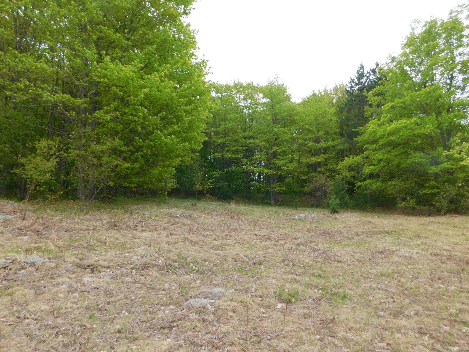 Post Road Frederic, MI 49733 - Photo 23 of 30 Gallery Image 23