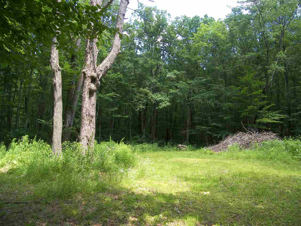 0 Bailey Road, Unit 66B Chichester, NH 03258 - Photo 1 of 15