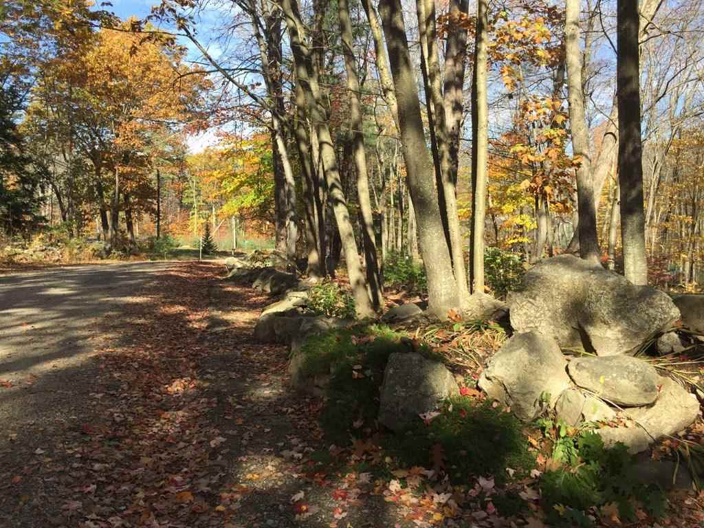 0 Bailey Road, Unit 66B Chichester, NH 03258 - Photo 12 of 15